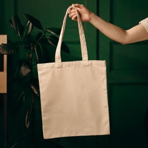 Carry Grocery Item