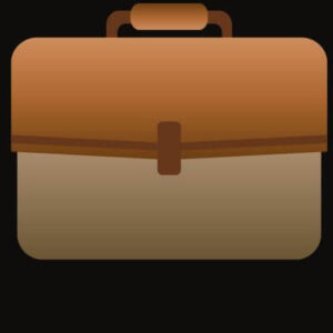 Stylist Jute Laptop Bags